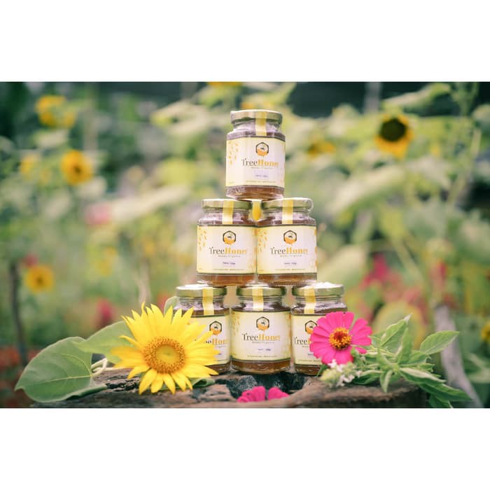 

Madu asli Trigona TreeHoney Honey Madu Murni Klanceng Propolis 250gr