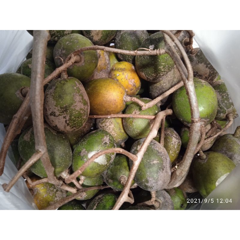 

kedondong buah kedondong segar