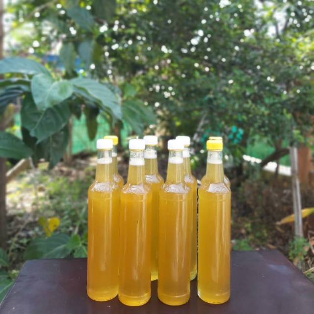 

MADU HUTAN ASLI BIMA NTB
