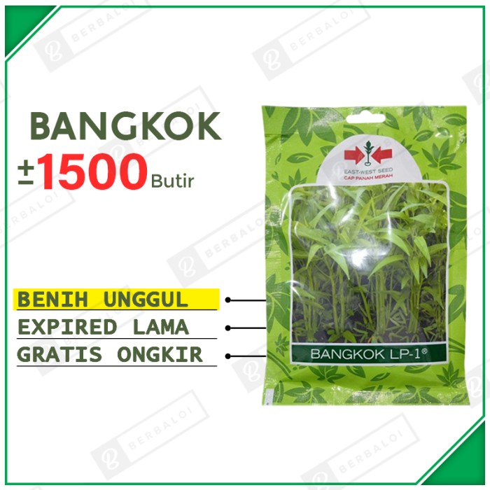 Bangkok LP-1 Benih Kangkung Potong Unggul Bibit Kangkung Cabut Hibrida