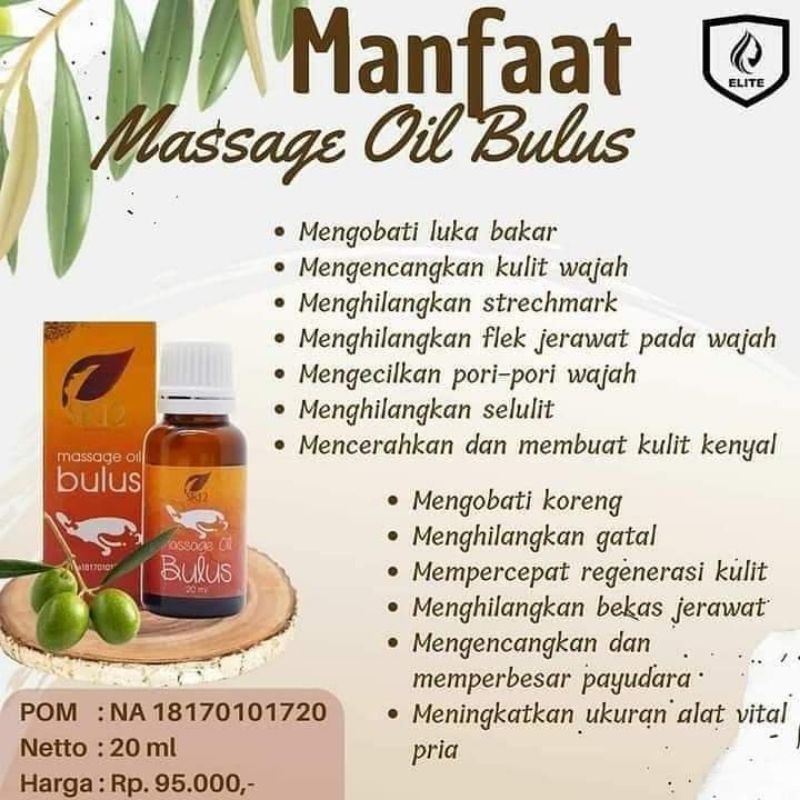 Massage Oil Bulus SR12 20ml Minyak Bulus Pembesar Payudara dan Pembesar Mr.p