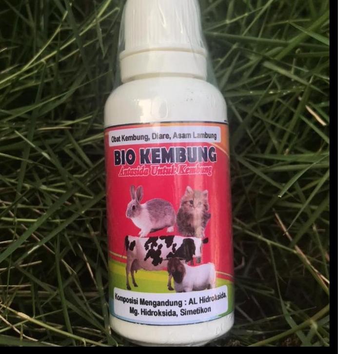 SALEE.. OBAT KEMBUNG KELINCI ORAL, JUAL OBAT KEMBUNG, Obat Kembung Hewan Kelinci Kucing Anjing Kambi