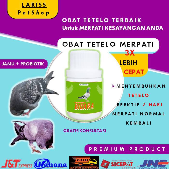 Obat Jamu Vitamin Burung Dara Merpati Tetelo Kolong Balap Pos 50 Butir