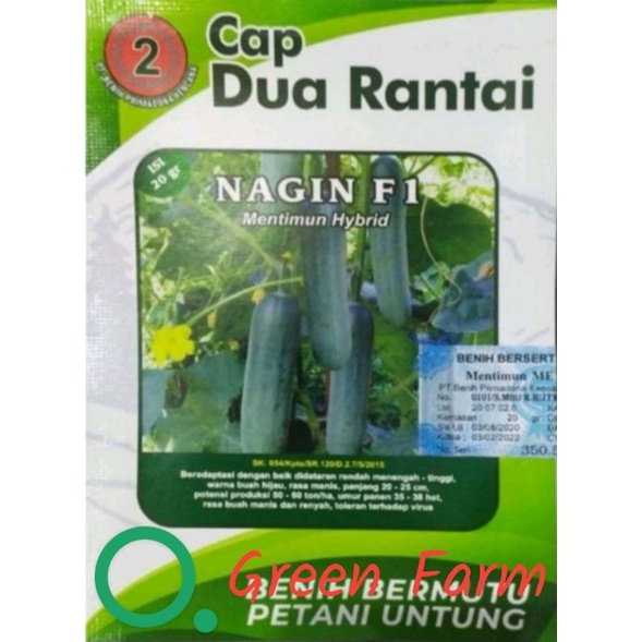 Timun Nagin F1 Timun Hibrida Kulit Hijau Buah Lebat Kemasan 20gr Original Pabrik Cap Dua Rantai