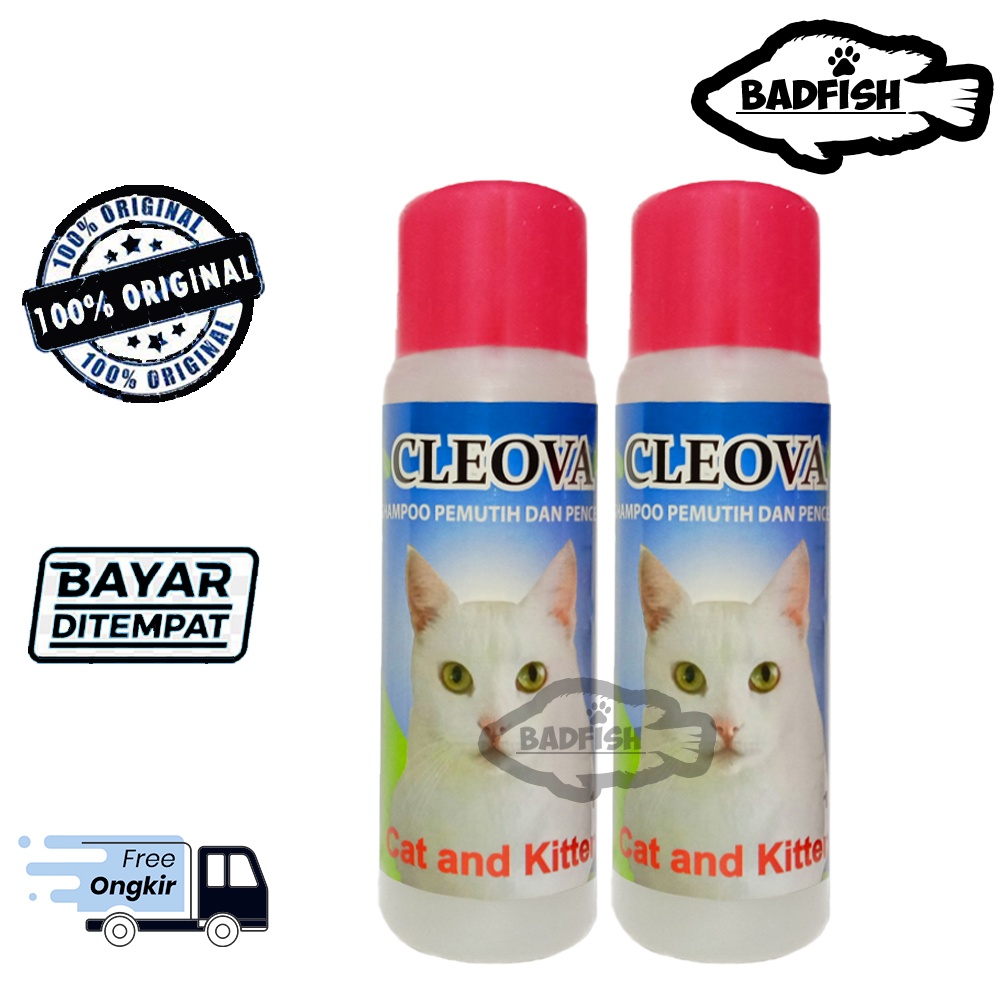 SAMPO KUCING BERBULU PUTIH - CLEOVA SHAMPO CAT 125 ML