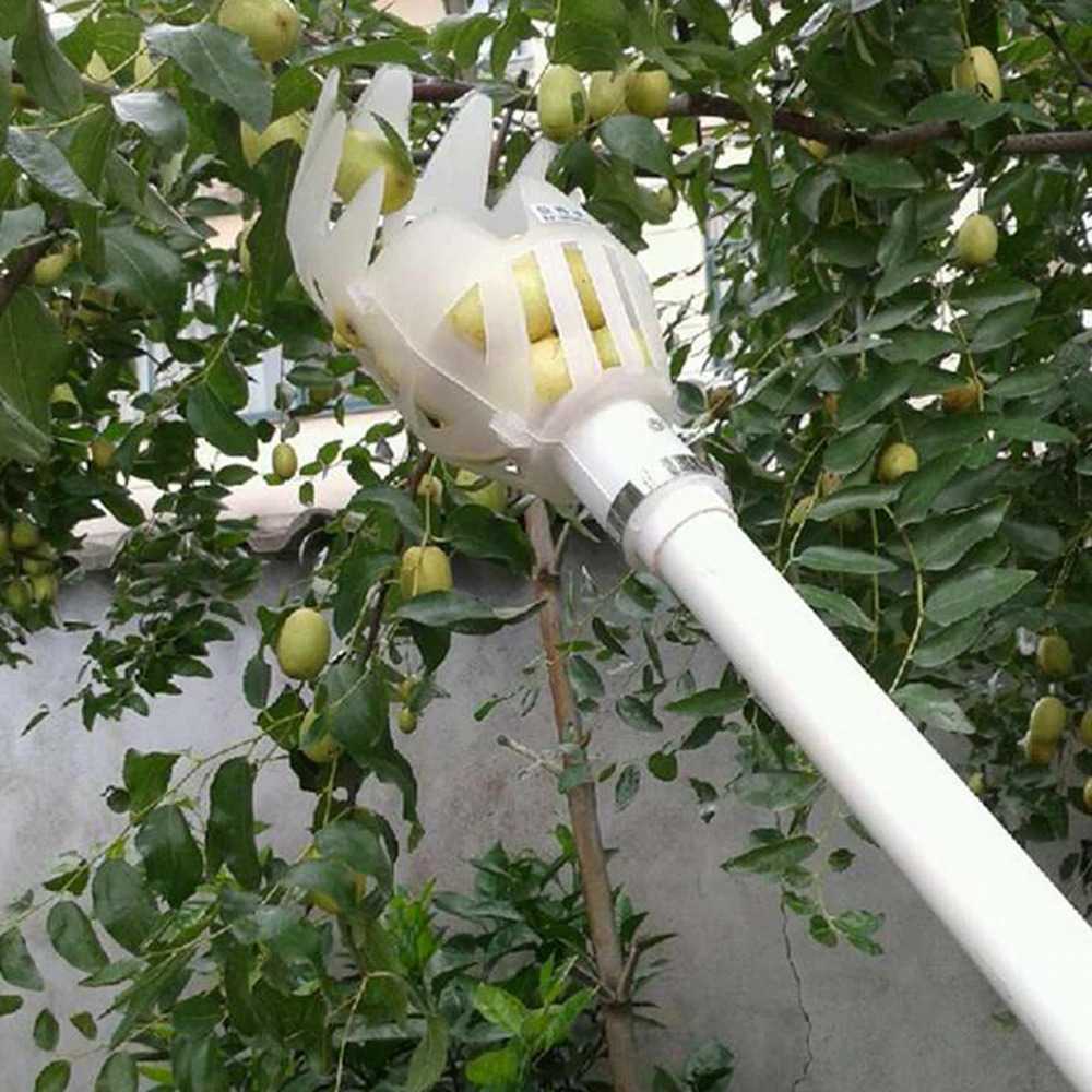 Alat Pemetik Buah Alat Pemetik Buah Mangga Tongkat Pemetik Buah Sekop Pemetik Buah Picker Sekop Pemetik Buah Garden Fruit Picker Tool Sekop Pemetik Buah Fruit Alat Petik Buah Tongkat Petik Buah