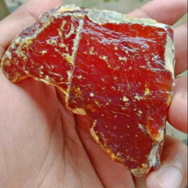 CEMPAKA MERAH