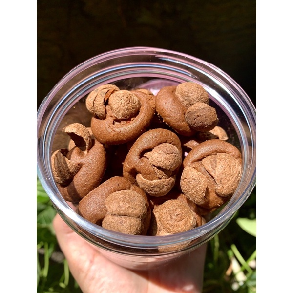 

choco crunchy