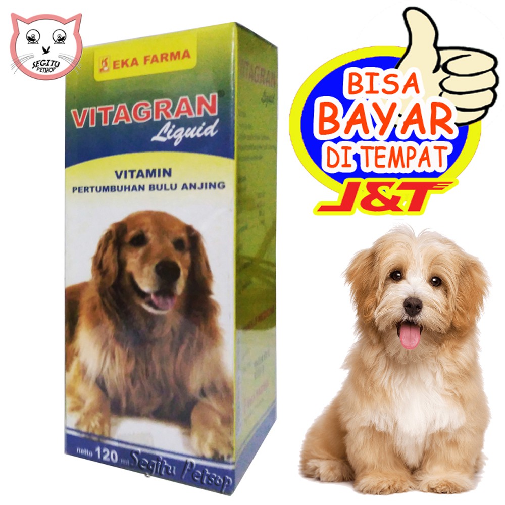 Vitagran vitamin penumbuh bulu anjing