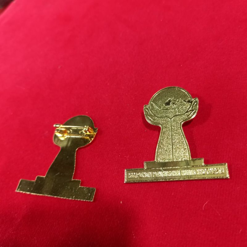 pin hipmi