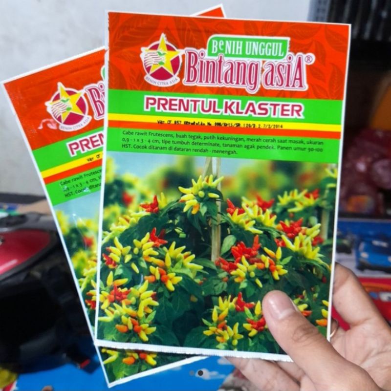 benih bibit cabai cabe rawit prentul klaster 10gram bintang asia kemasam asli pabrik