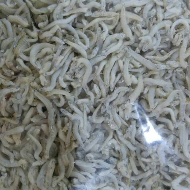 Ikan Teri Nasi Sibolga