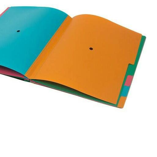 ✭ Organizer & signature book A4 Bantex ☁