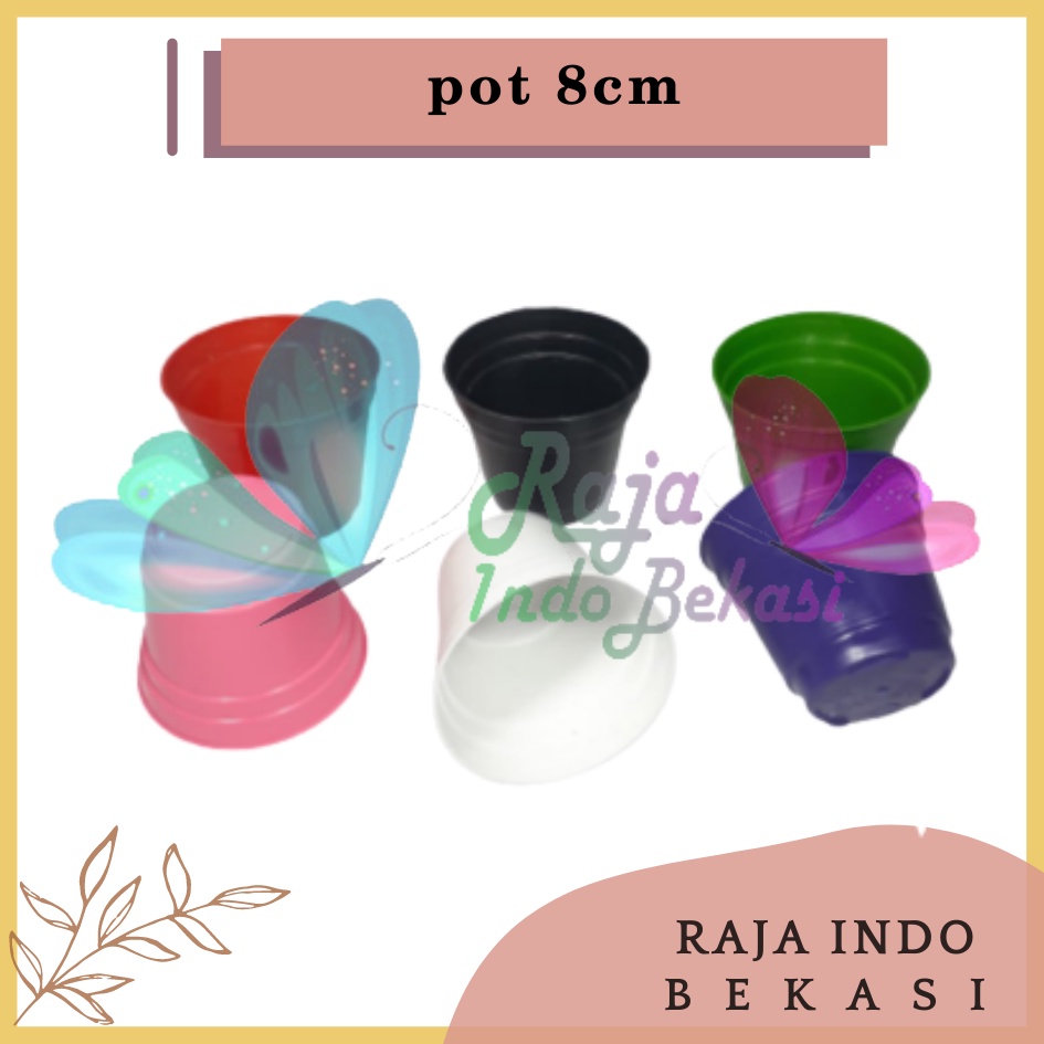 Pot Gol 8 Cm Pelangi Kecil Kaktus | Ice Cream Pot Tanpa Lubang 8 Cm Pot Hidroponik Pot Es Krim 8cm