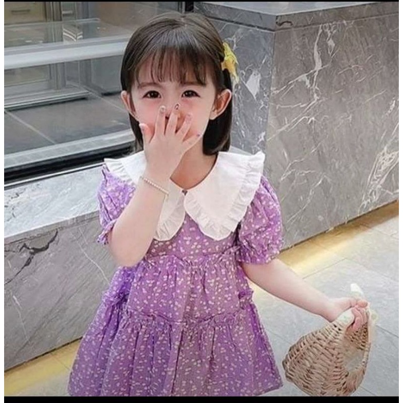 dress double wrinkle seeds