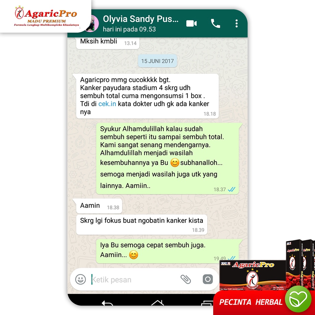 Obat Asma Sesak Nafas Paru Paru Sinusitis Batuk Gurah Perokok - Madu Agaricpro Herbal Alami-4