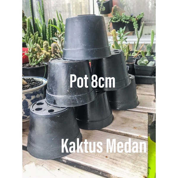 Pot ice cream 8 cm Hitam Pot Plastik bunga Es Krim 8cm Harga grosir