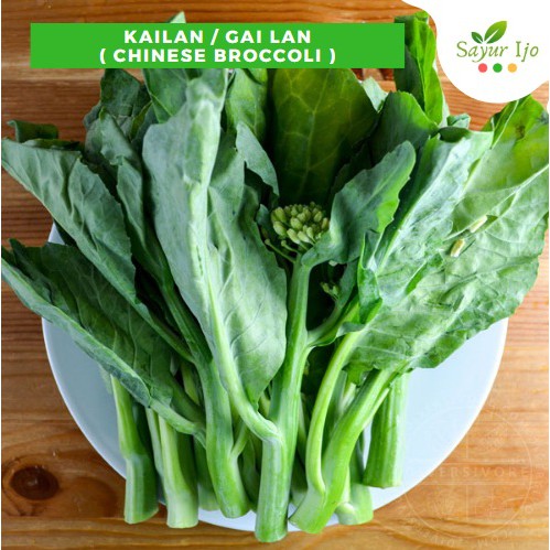 

Kailan 230 - 250 Gram Fresh Gai Lan Chinese Broccoli Sayur Sawi Hijau Segar