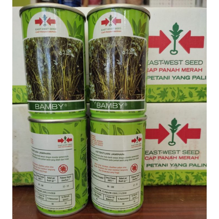 Benih seledri bamby @ 50gr