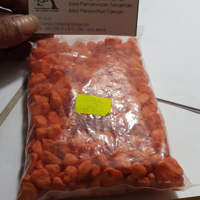 Batu coral warna orange batu hiasan taman