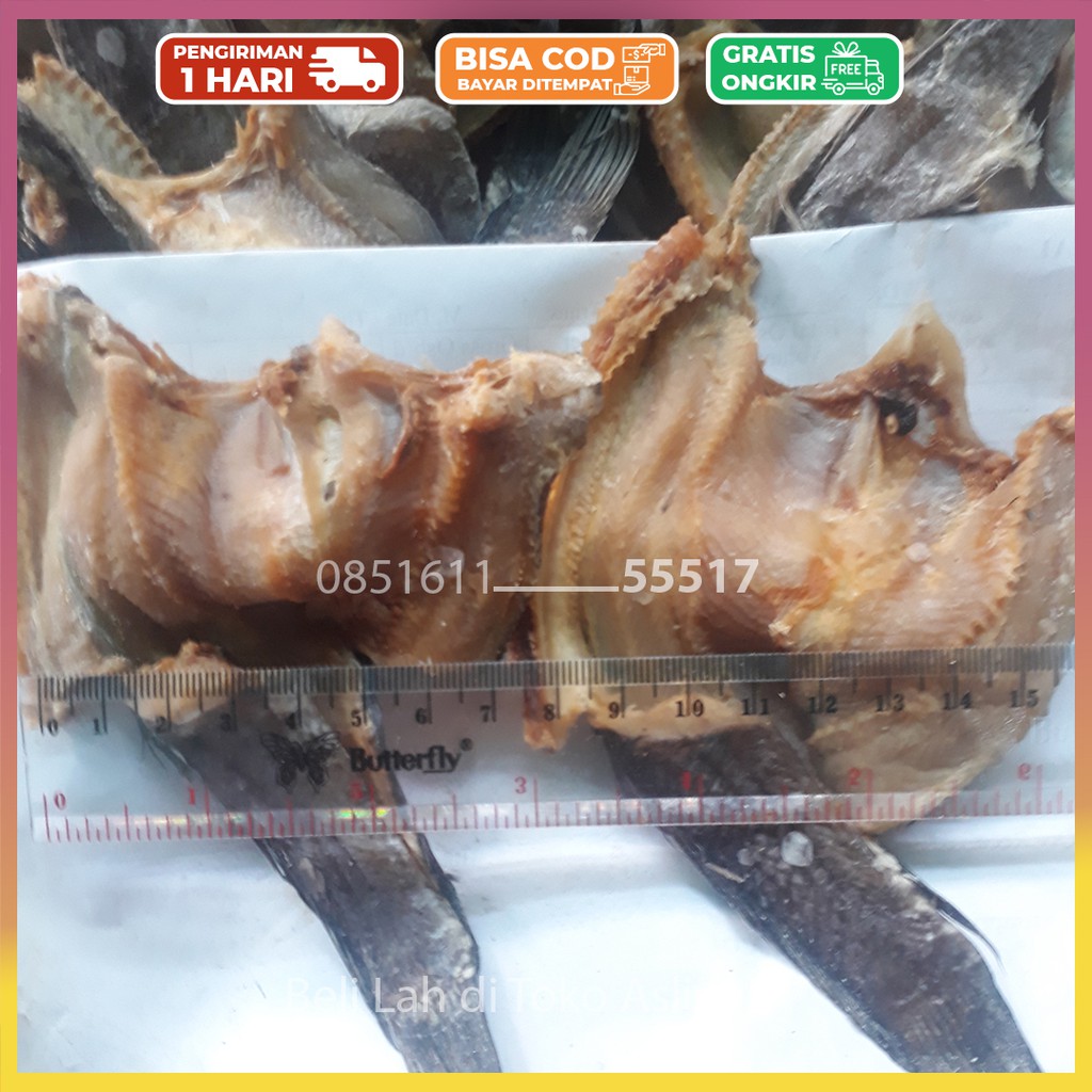 

Ikan Asin Gabus Super 1Kg 500gr 250gr / Gabus Asin Besar dan Kecil 100% Fresh