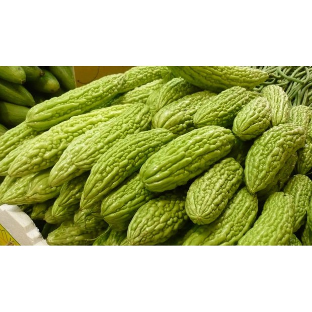 4 biji Benih Pare hibrid F1 bibit tanaman sayur sayuran paria broco