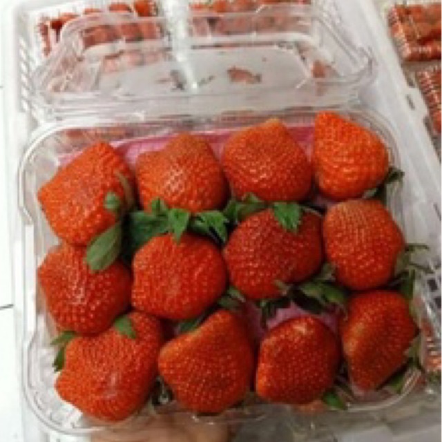 

Strawberry Bandung Segar Grade A dan AB Surabaya