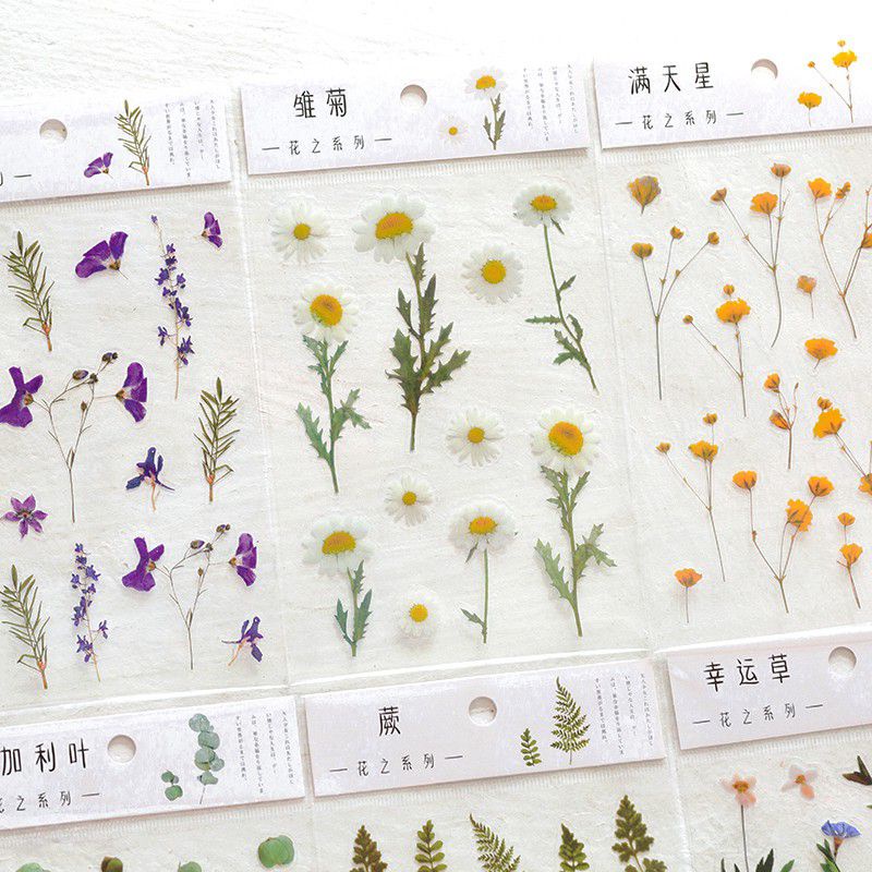 

Stiker Bunga Transparan Vintage Scrapbook Journalling Flower Sticker Transparent plant PET Waterproof