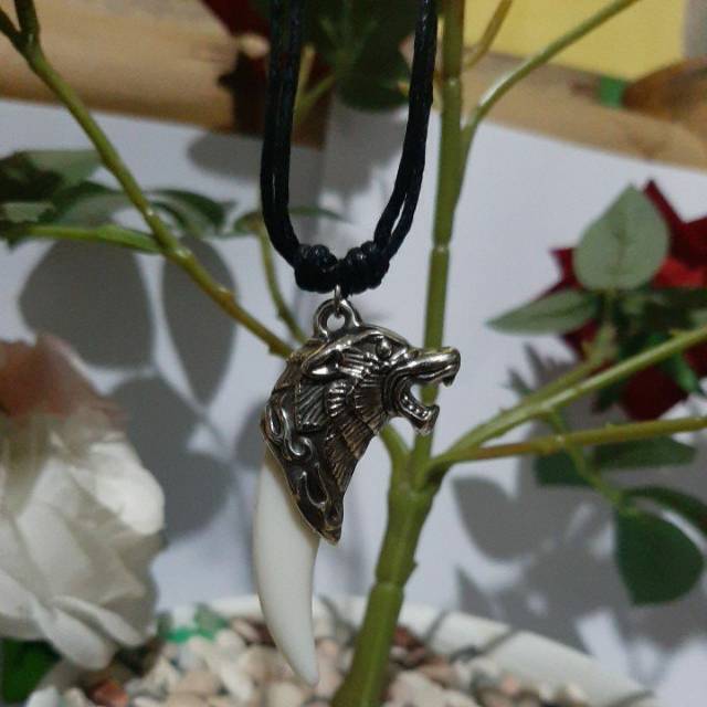 kalung taring kepala singa