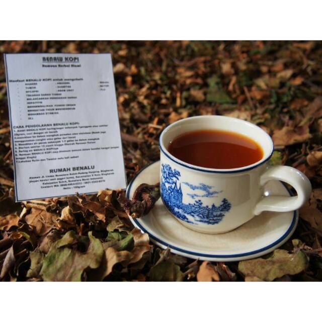 BENALU KOPI asli OBAT KANKER