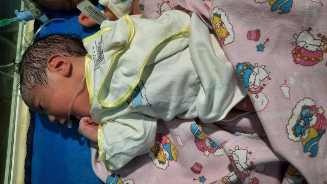 Loyang Persegi Panjang Bongkar Pasang