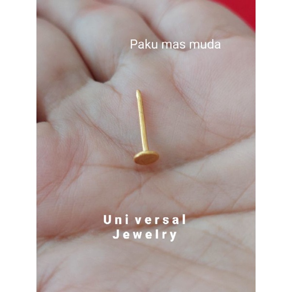 Paku emas muda