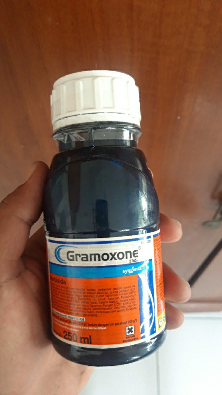 Herbisida Gramaxone 250ml