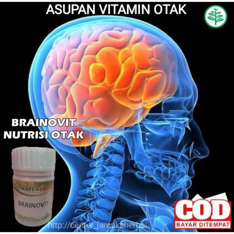 VITAMIN DAN NUTRISI OTAK BRAINOVIT.HERBAL NUTRISI OTAK NATURINDO