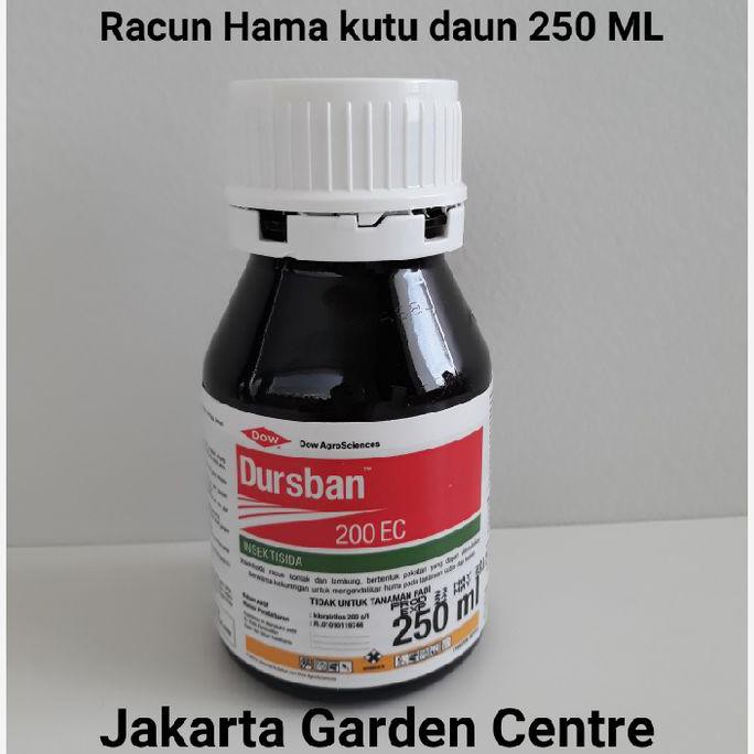 Siap Kirim | Dursban 250 Ml Insektisida Obat Kutu Hama Semut Ulat