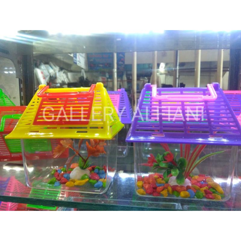 Harga Aquarium Cupang Mini Lengkap Terbaru Juni 2021 Biggo Indonesia