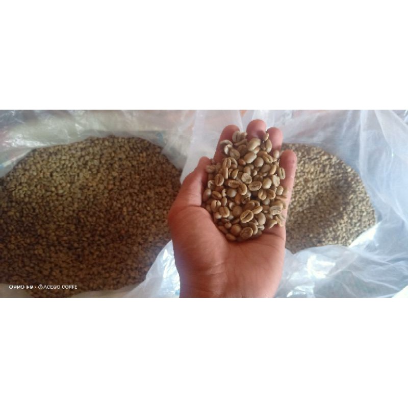 

ARABIKANATURAL