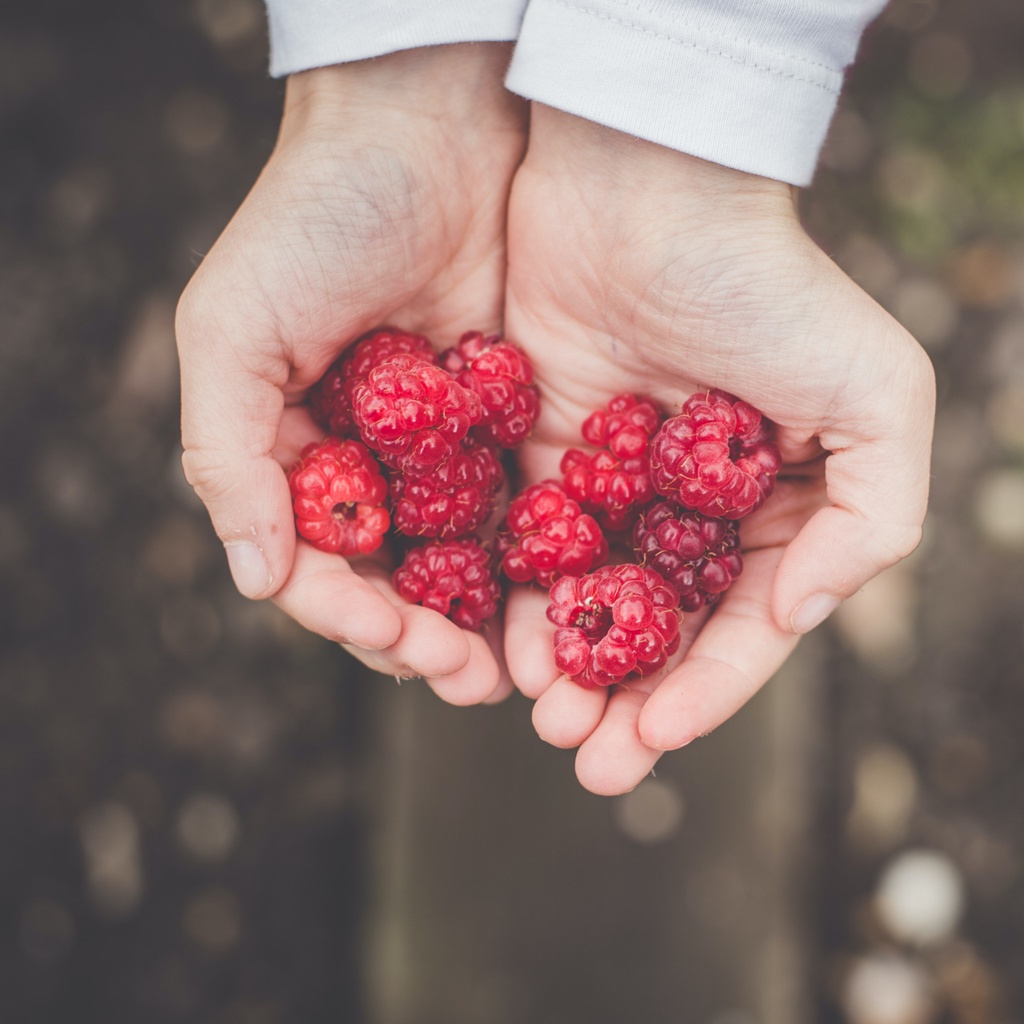 

Buah Raspberry