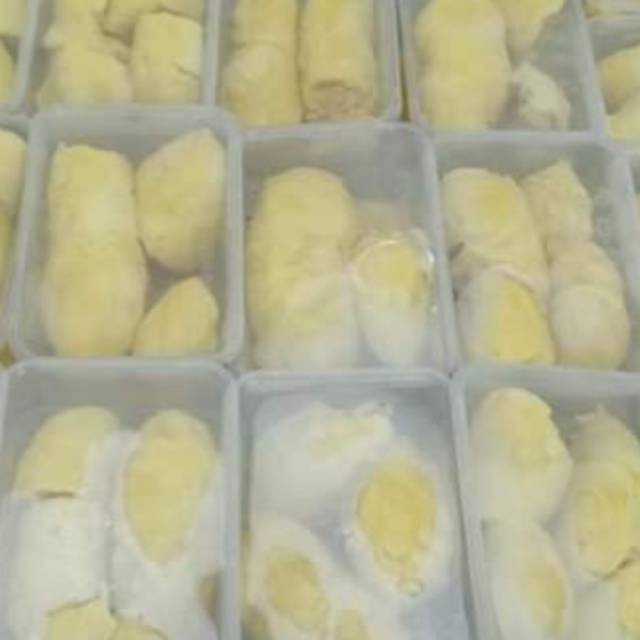 

Durian montong palu