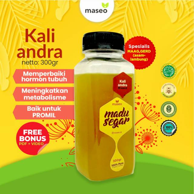 

Maseo Madu Segar Kaliandra