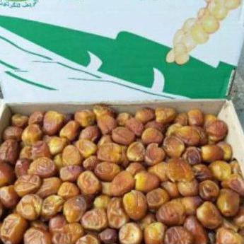 

( BISA COD ) Kurma sukari / kurma raja ukuran 3kg BIG SALE [Kode 1|Kode 2|Kode 3|Kode 4|Kode 5|Kode