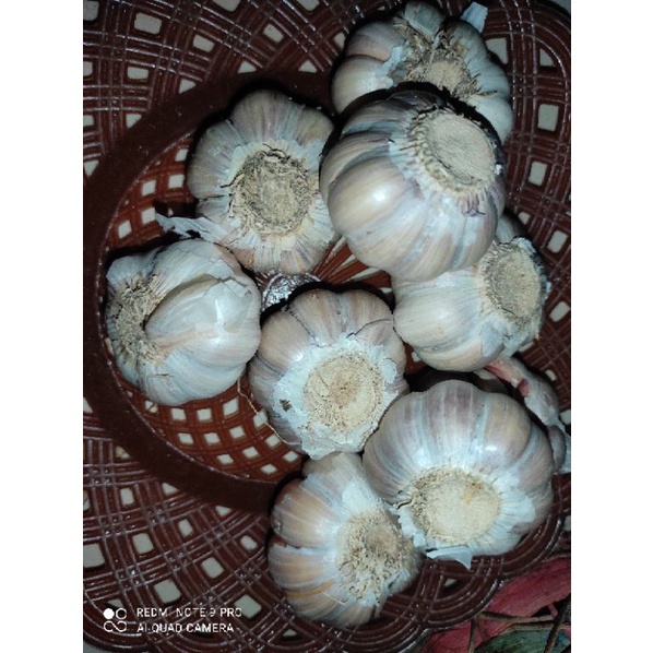 

Bawang Putih Per Butir