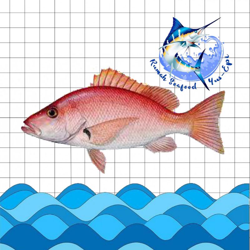 

Ikan Kakap Merah - rumahseafoodyusepi