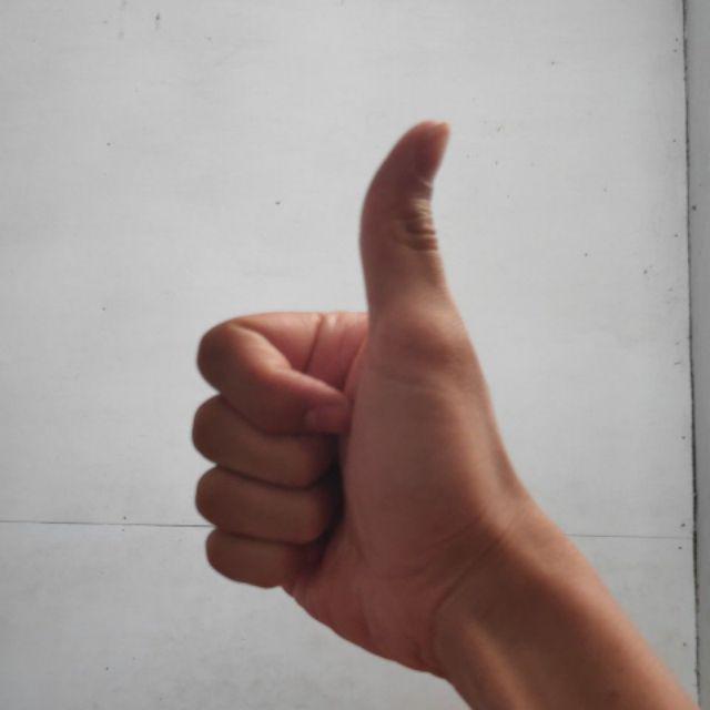 New Gress Fiber Pagar Bambu Panda Glossy