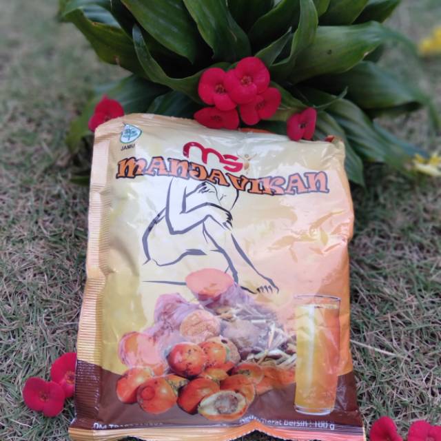 

MSI manjavikan jamu herbal