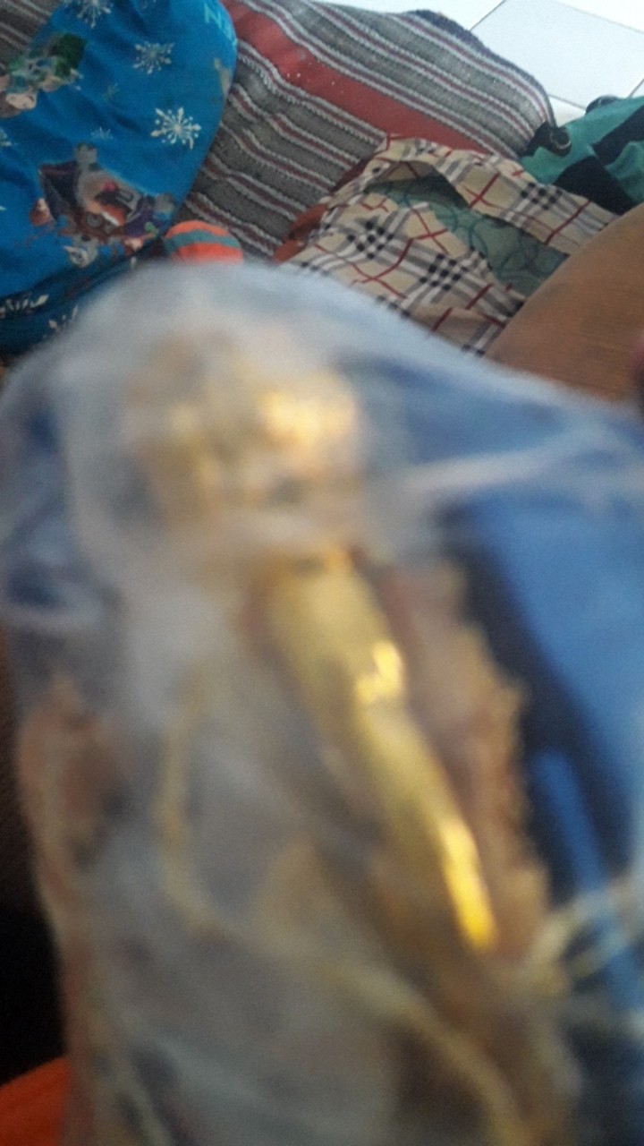 Hook Minimalis Motif Lumba Lumba Bahan Plastik Berkualitas Baik Dan Menarik