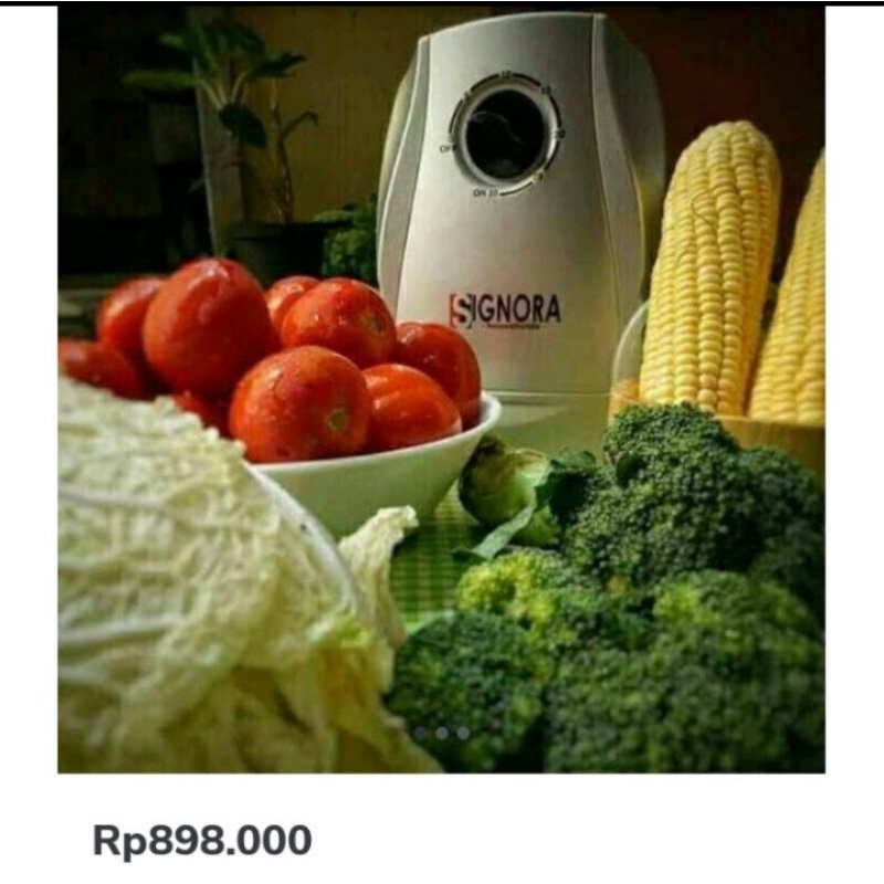 Signora Ozone Sterilizer