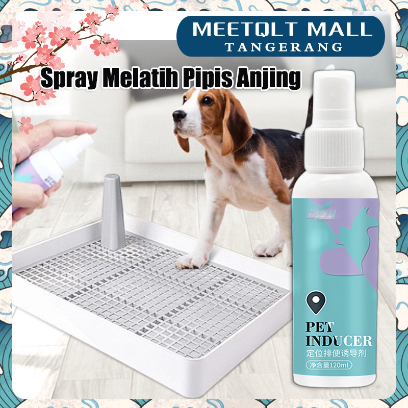 ★120ML★ Spray Melatih Pipis Anjing/Spray Semprot Latih Pipis Anak Anjing/Pet Dog Inducer Puppy Training Spray