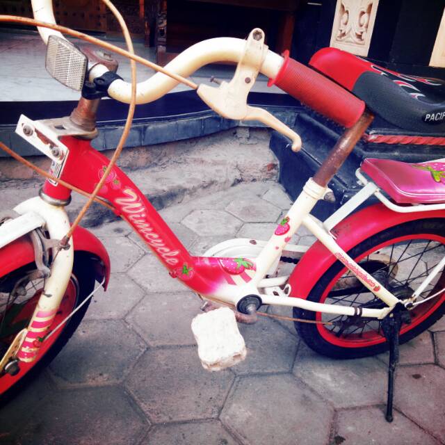 Sepeda anak 16 wimcycle