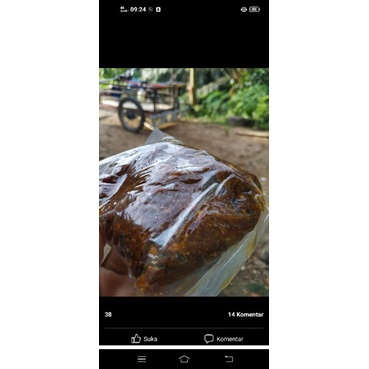 

bumbu pecel babatun